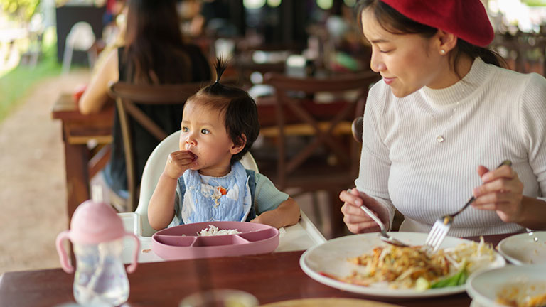 Portable high chair