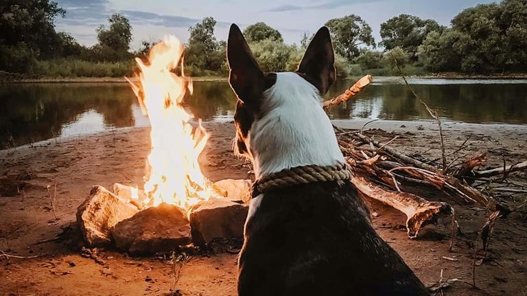 Bondfire