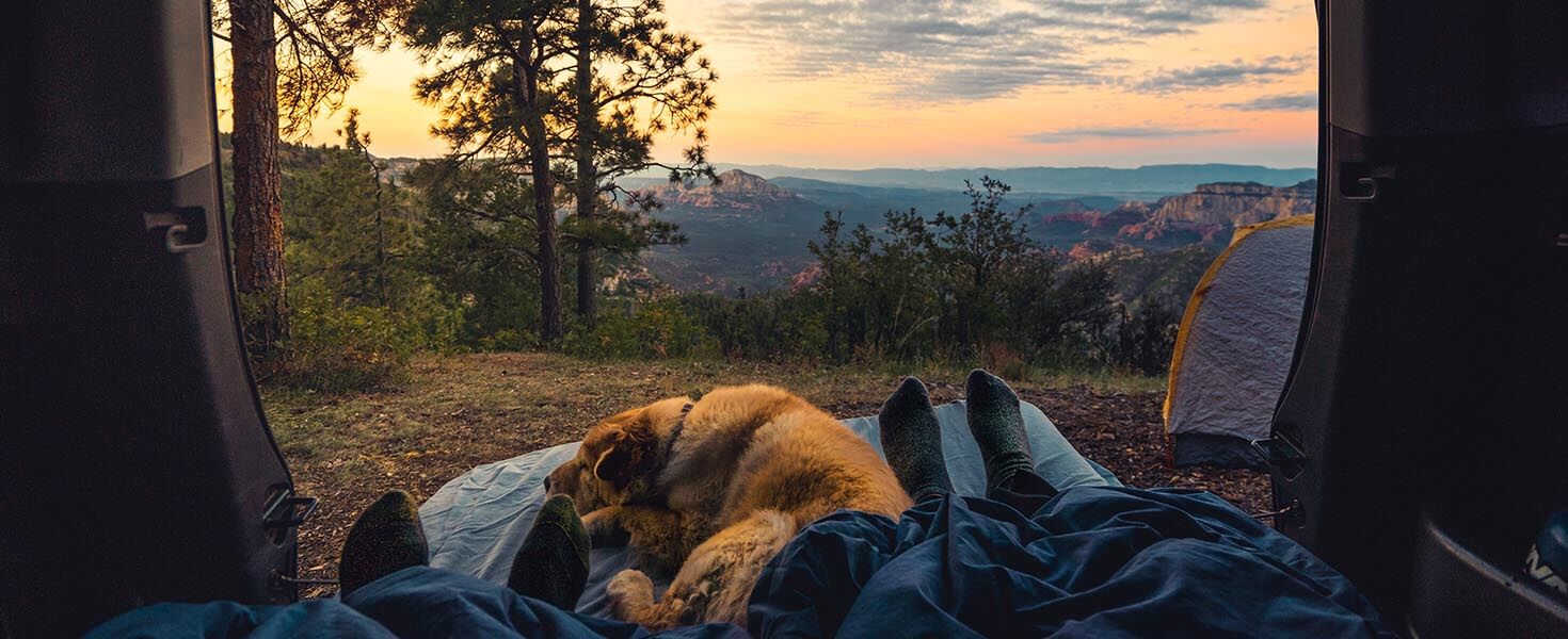 Hero_Camping with Your Pet
