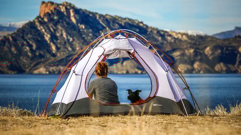 The view with the dog