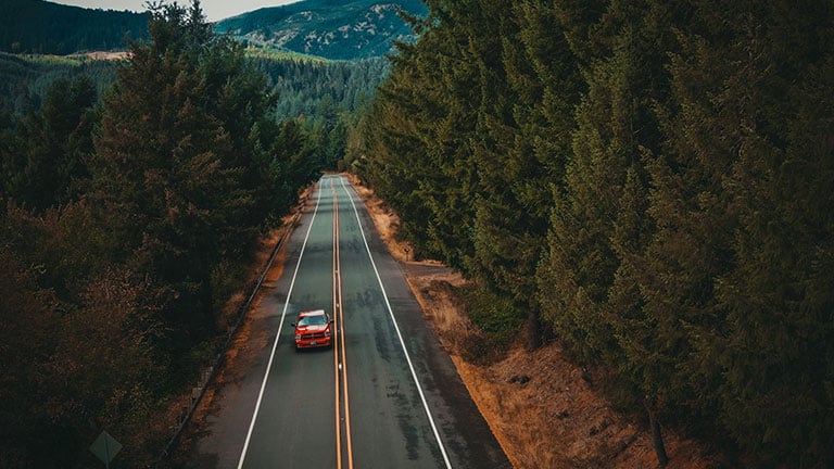 The camera looks down at an orange car driving down a paved country road with tall green trees lining both sides. Photo by Keturah Williams from Burst