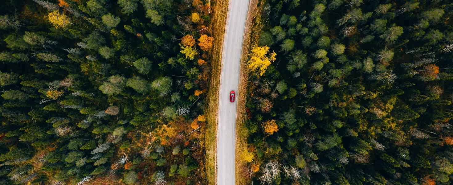 Tips for a Family Road Trip