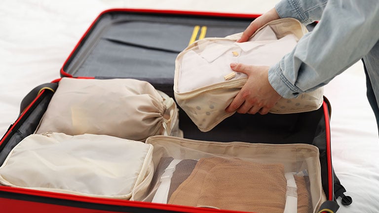 Woman putting packing cube into suitcase indoors, closeup by New Africa
