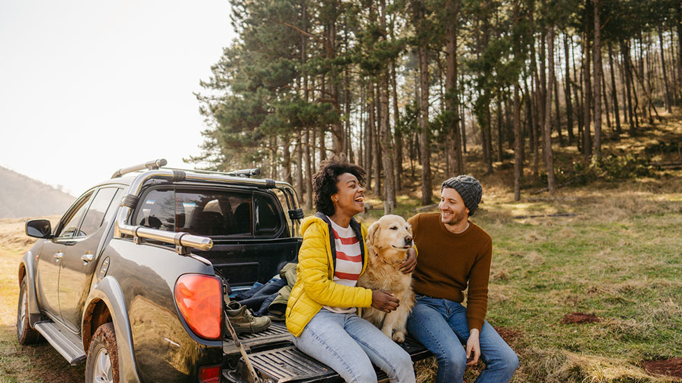 Traveling with dog