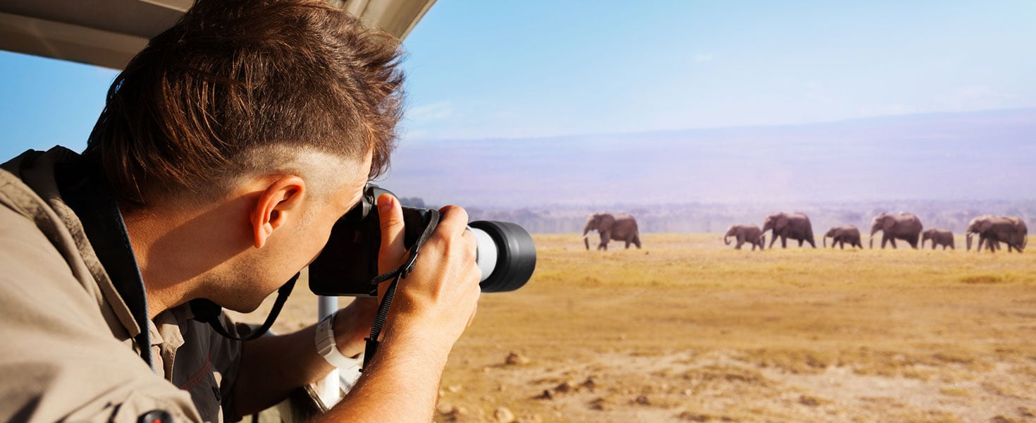 Man taking photo of herd of elephants during Great Migration from safari jeep, Kenya, Africa