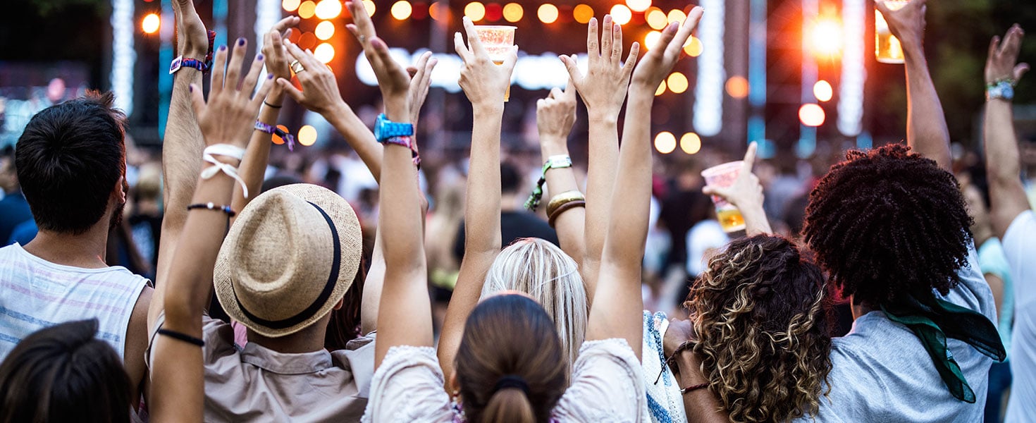 Back view of friends with raised arms on music concert
