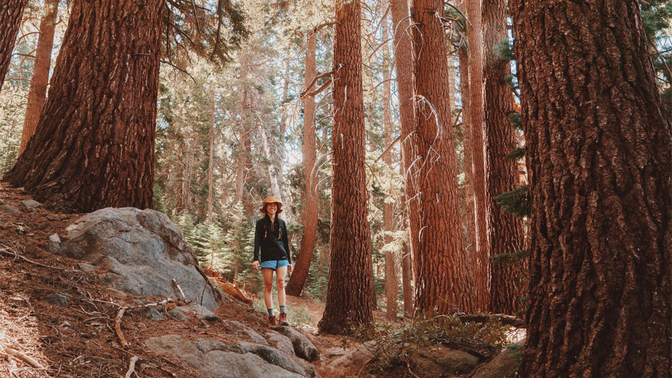 Epic National Park Image to Explore the US by Seasons