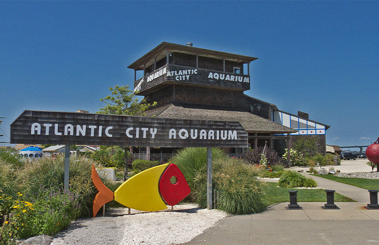 Atlantic City Aquarium