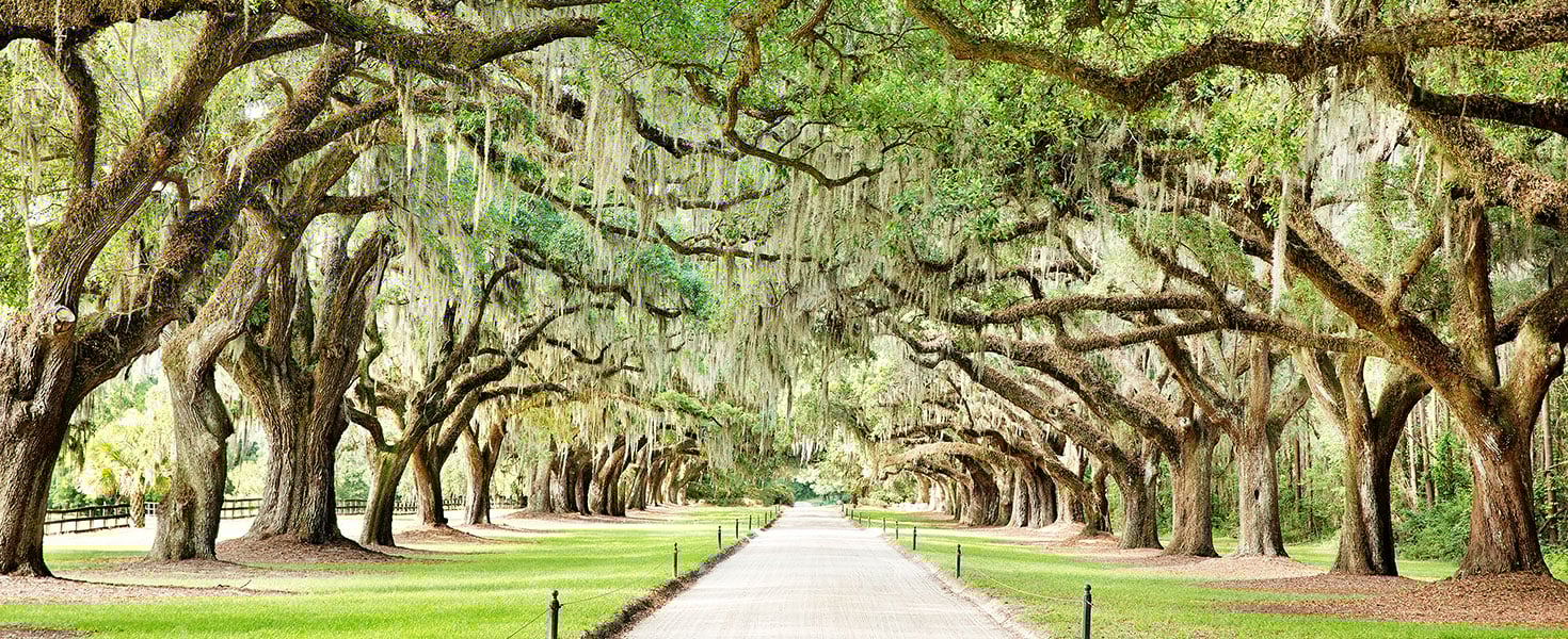 Credit: Courtesy of Explore Charleston, ExploreCharleston.com