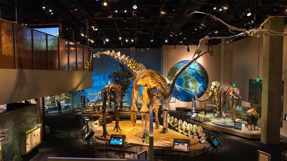 Perot Museum in Dallas
