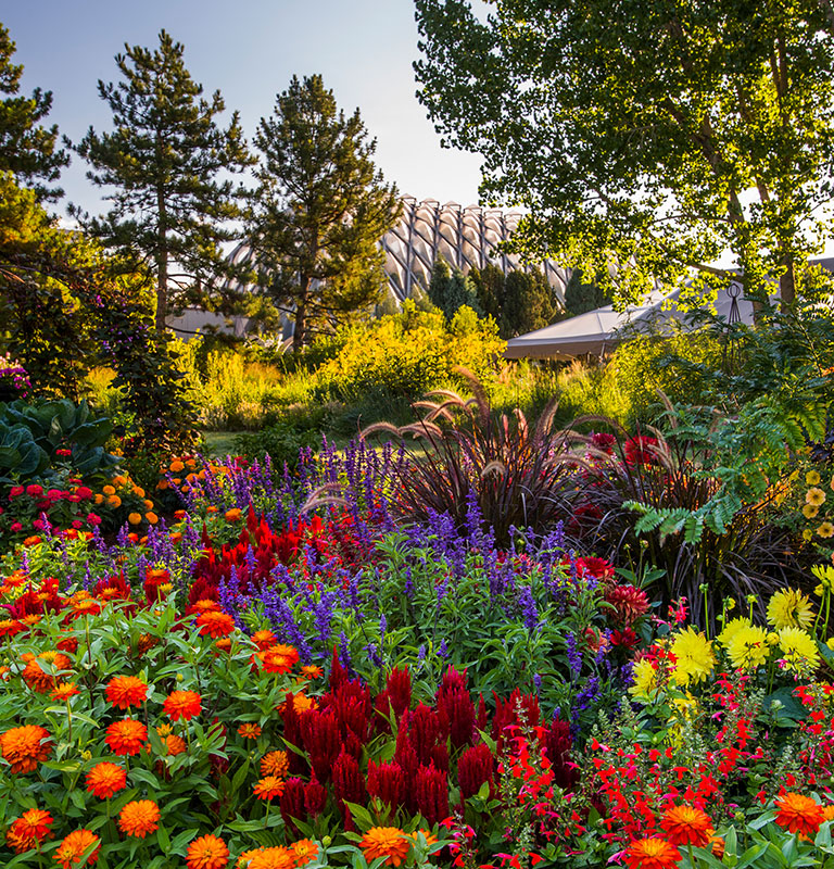 Denver Botanic Gardens in full bloom; photo courtesy of Visit Denver
