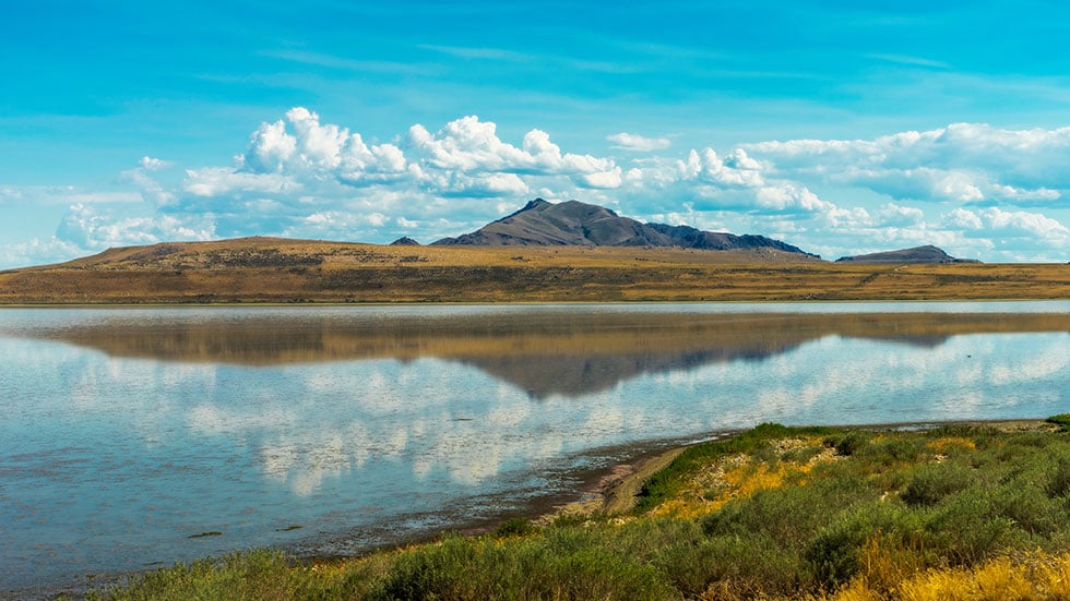 Antelope Island, Salt Lake City, Utah