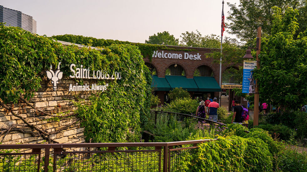 St. Louis Zoo
