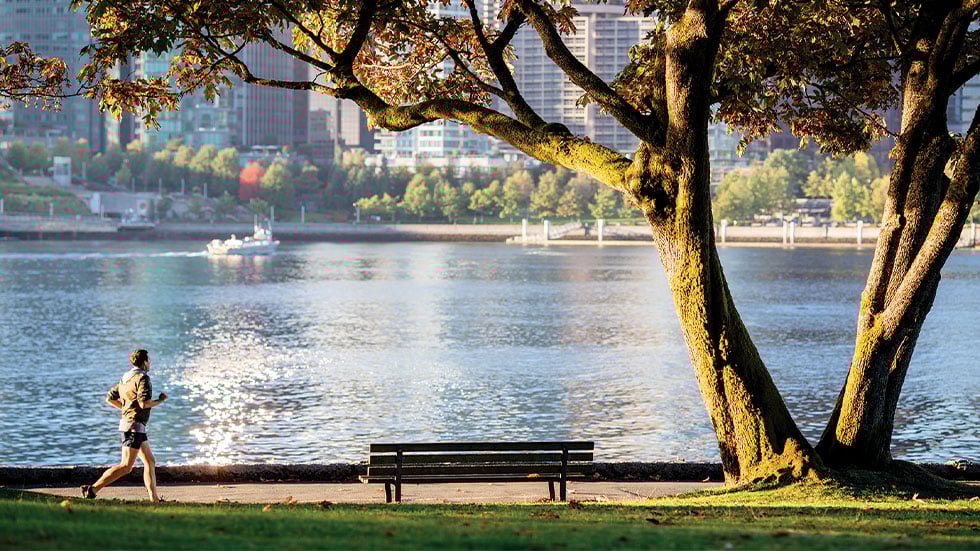 Stanley Park in Vancouver