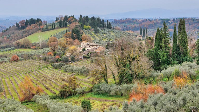 With its verdant valleys and silver olive groves, Tuscany is beautiful even in winter; PHOTO BY ERIC SKLAREW