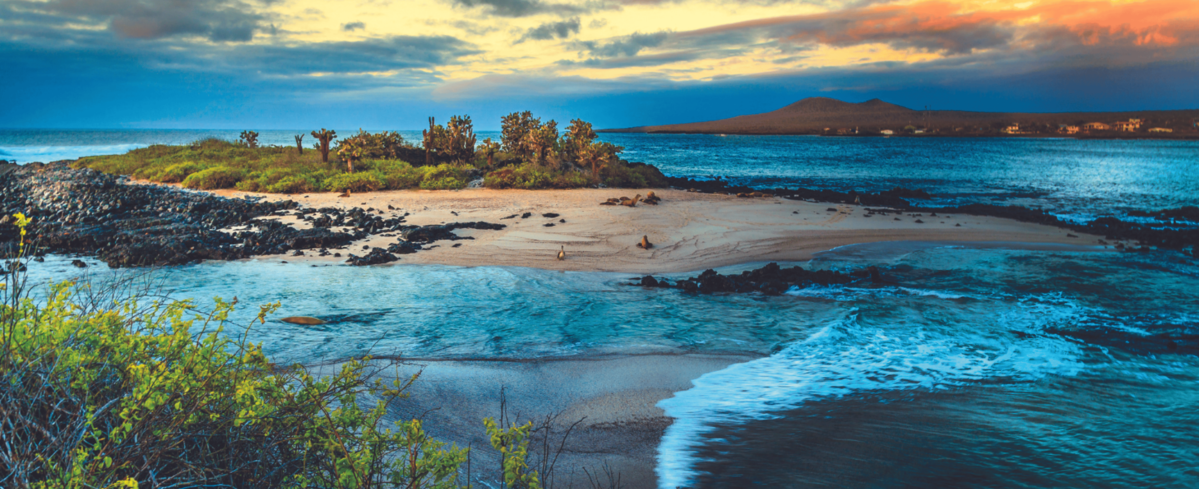Shores of galapagos islands