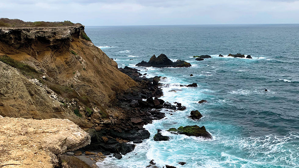 The cliffs of Isla de la Plata are home to some of Ecuador’s famous blue-footed boobies. Photo courtesy of Renee Sklarew