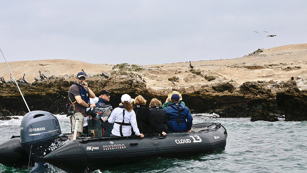 The Silver Cloud crew motors  a Zodiac boat along the coastline for a close-up view of pelicans nesting. Photo by Renee Sklarew