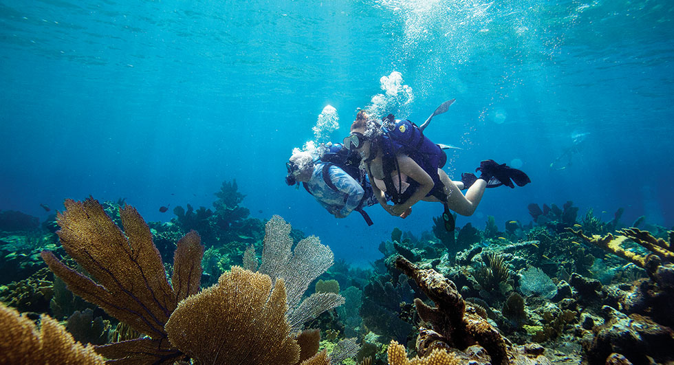 Snorkeling and diving are highlights in The Abacos Islands;