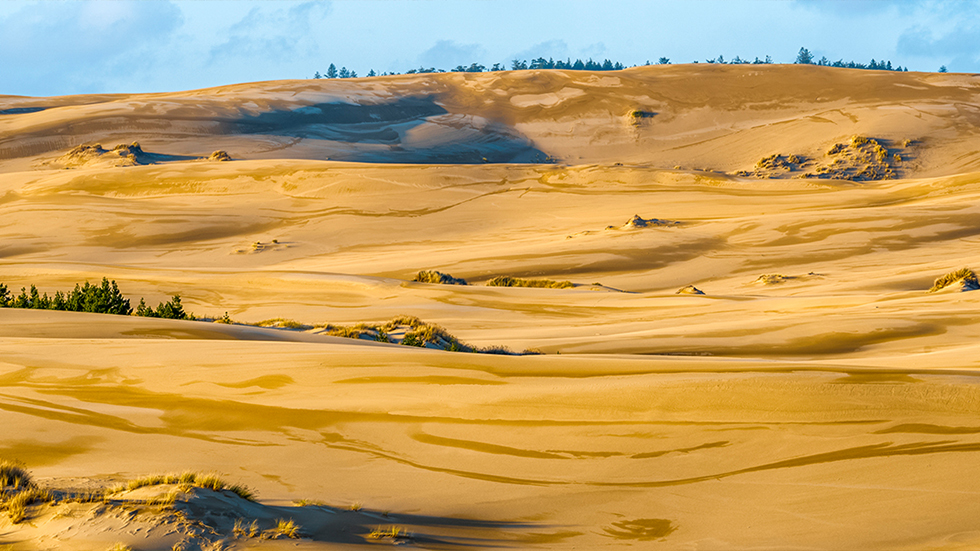 Oregon Dunes National Recreation Area