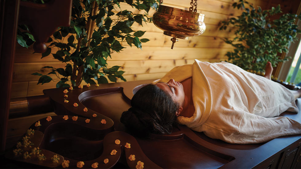 EUPEPSIA Wellness Resort BLAND, VIRGINIA