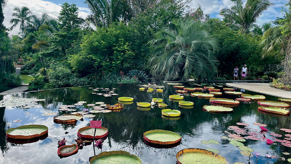 Naples Botanical Garden