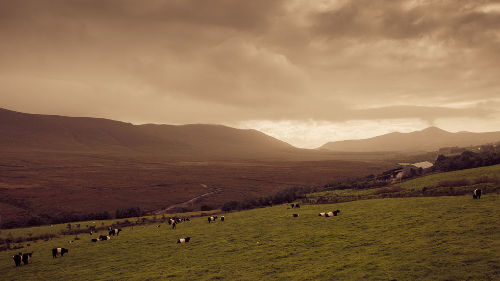 Hazy afternoon near Annascaul, Ireland