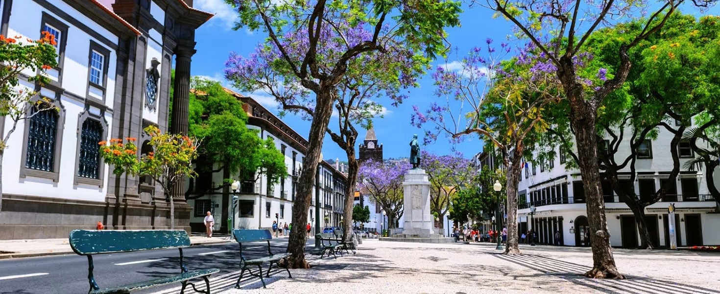 Marvelous Madeira