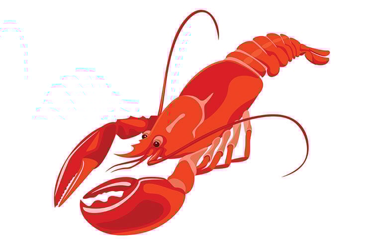 lobster
