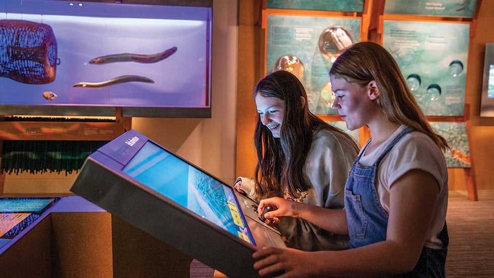 Museum of New Zealand Te Papa Tongarewa. Photo courtesy Of Tourism New Zealand