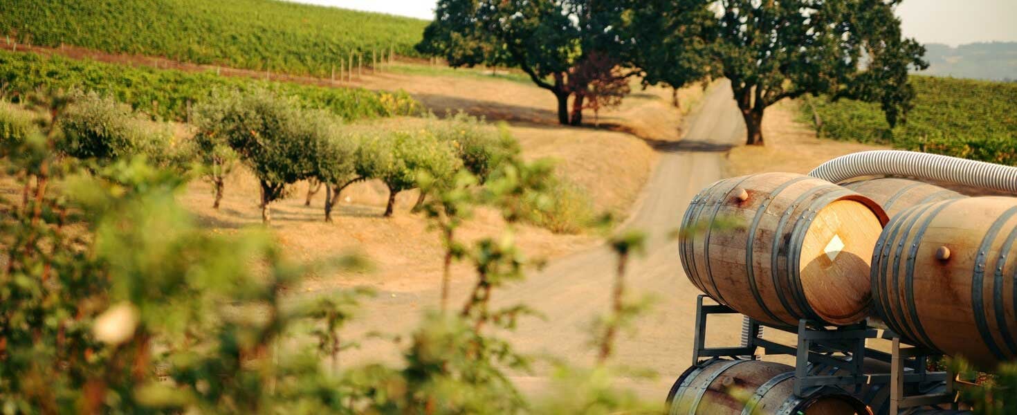Farm land view with wine barrels in the foreground.