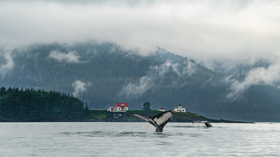 Image from Royal Caribbean Cruise Line: Juneau, Alaska