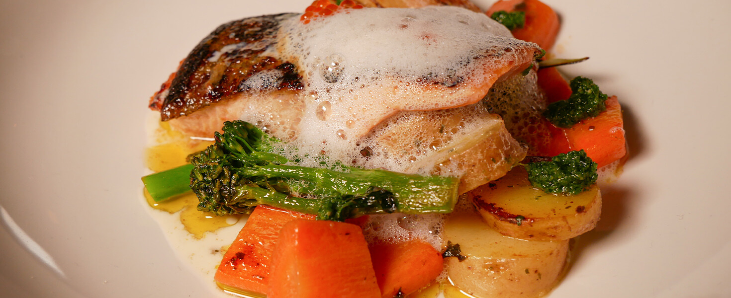 Irish Rainbow Trout