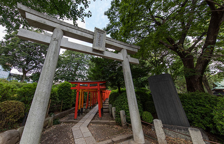 Vermillion torii gates curve uphill at Nezu Shrine
