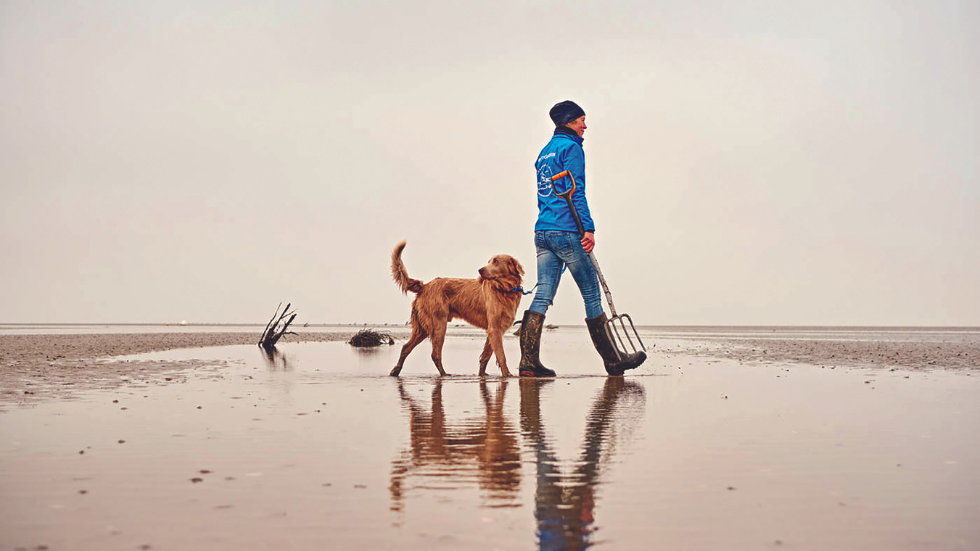 A Wadden Sea guide sets off in search of sea creatures in the mudflats