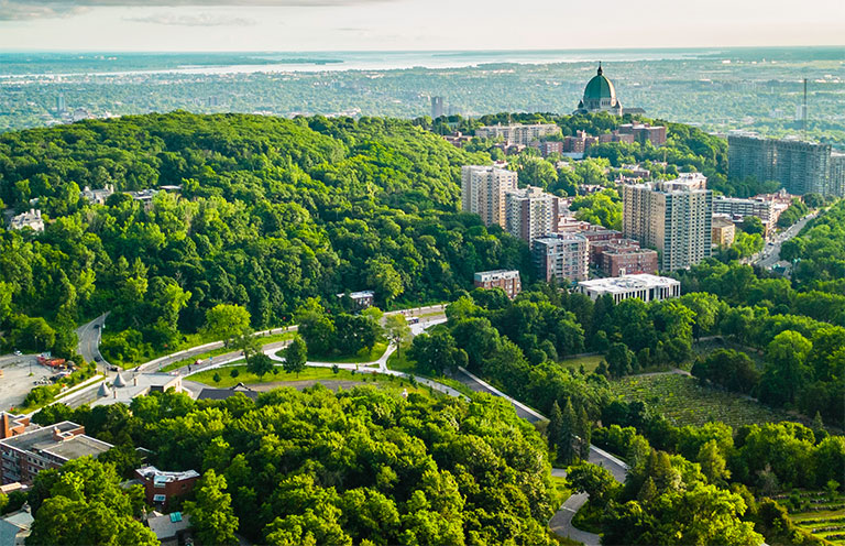 Mount Royal in Montreal