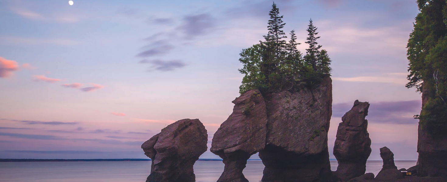 Bay of Fundy Hopewell Rocks sea stacks