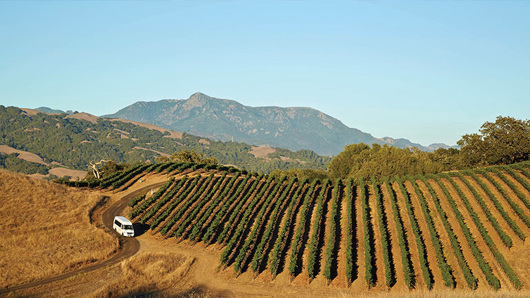 Jordan Vineyard & Winery Estate Tour; Courtesy of Sonoma County Tourism