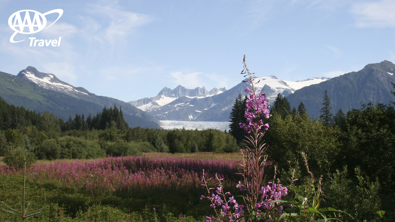 Alaska Zoom Background