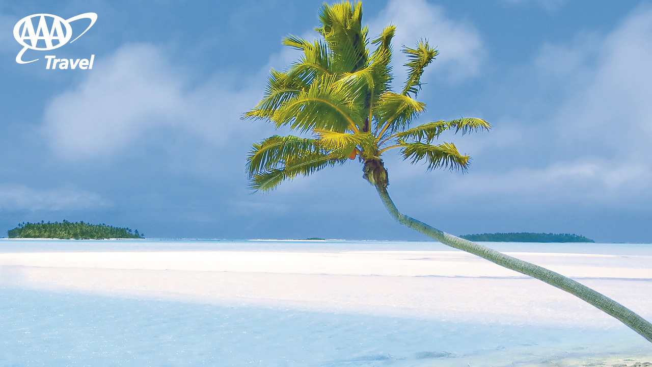 Caribbean Zoom Background