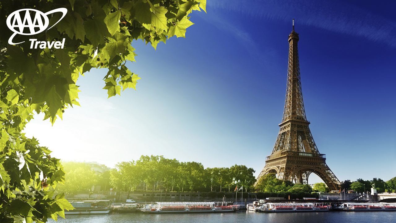 Paris Zoom Background