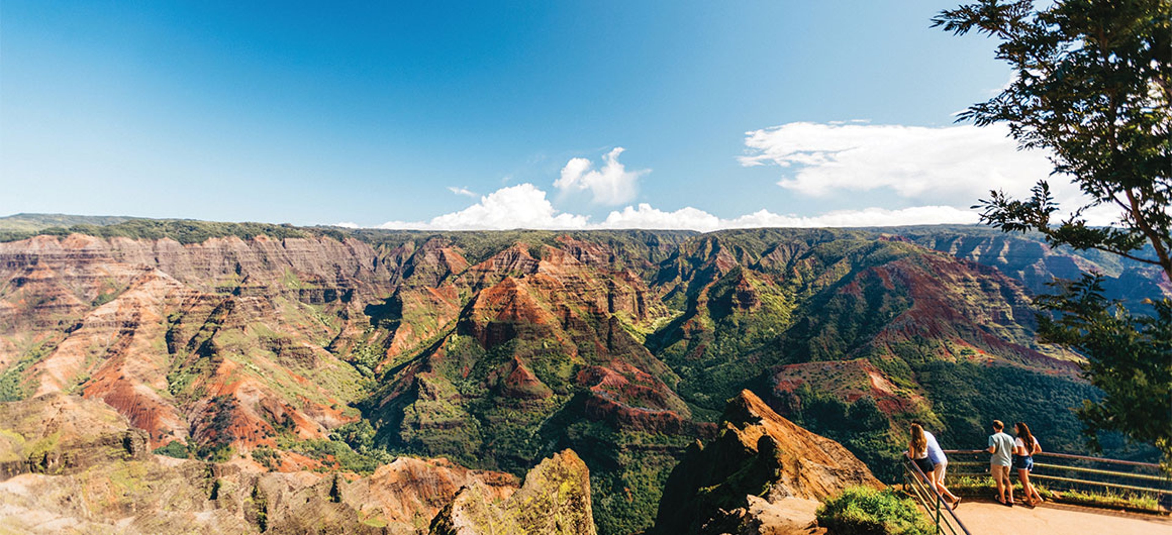 Waimea Canyon Lookout
