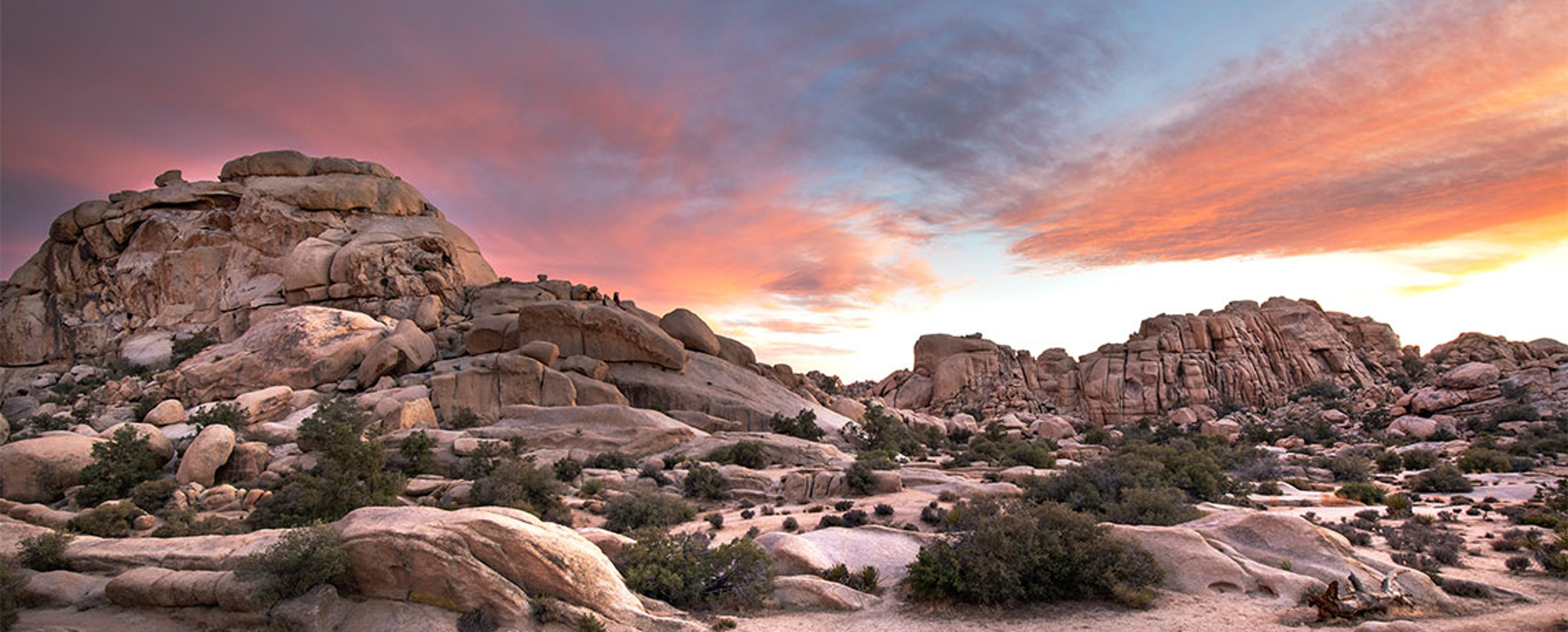 Joshua Tree national park