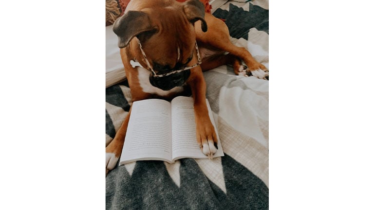 Books-are-the-New-Bones_Diana-Rose-Guaschino