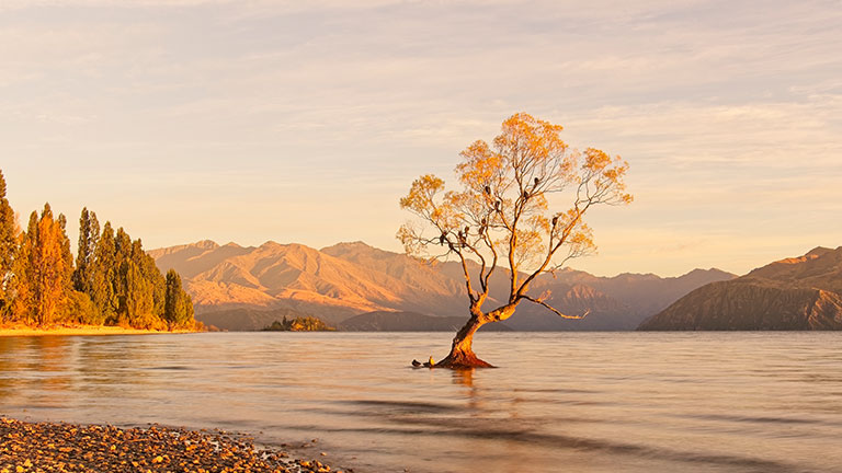 Monika Jaeger Lake Wanaka NZ