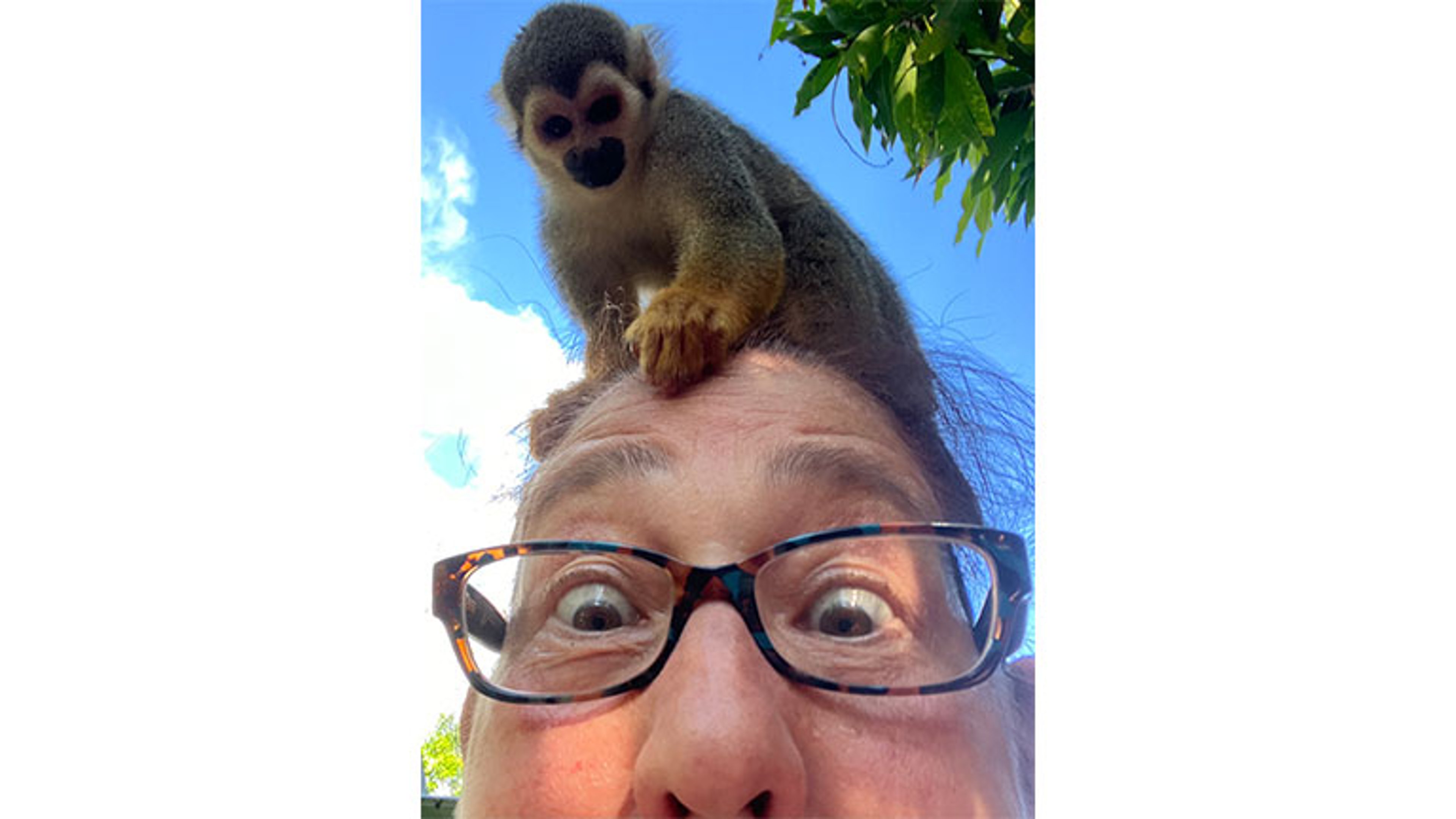 Monkey-on-My-Mind_Lisa-Even_768x462