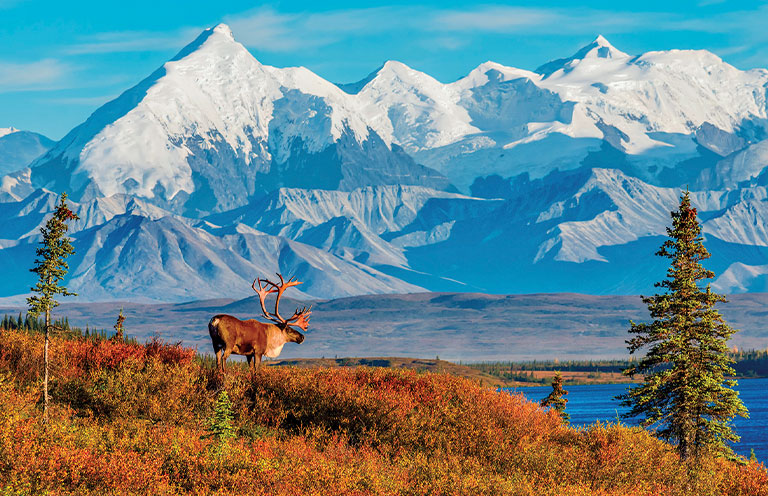 Denali National Park and Preserve