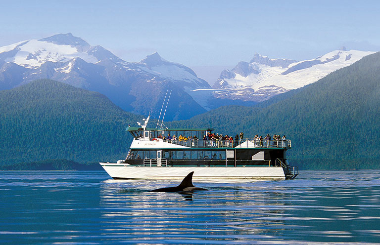 a whale-watching cruise in Juneau