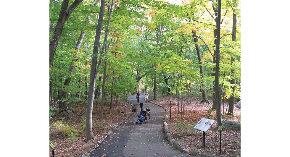 Bear Mountain State Park. Photo courtesy of New York State Parks, Recreation & Historic Preservation 