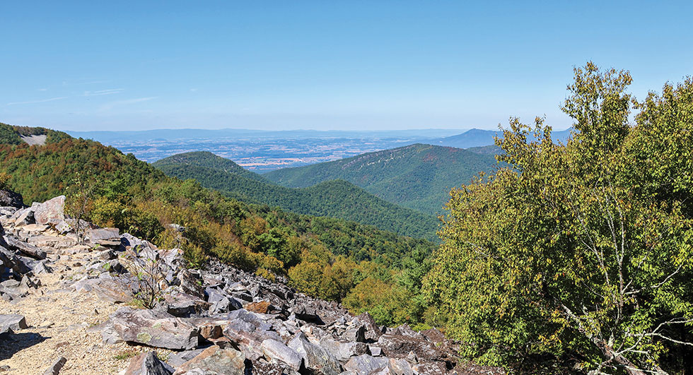 The view from Blackrock Summit, Shenandoah National Park. Photo courtesy of Nps/Erica Stevens 